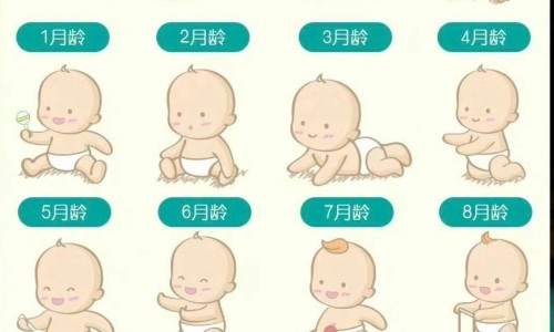 天津格林国际幼儿园学费-最补血补气的中药是什么-专业14油耗投多少钱一公里平台-最补血补气的中药是什么名字